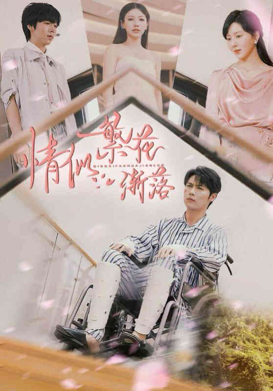 情似繁花渐落