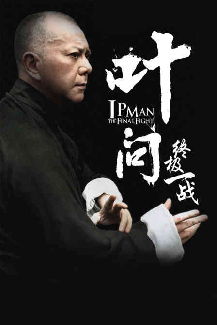 叶问:终极一战