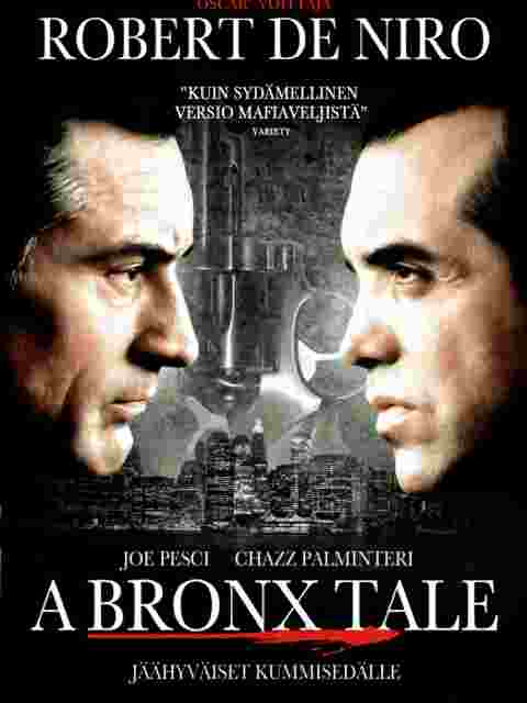 布朗克斯的故事