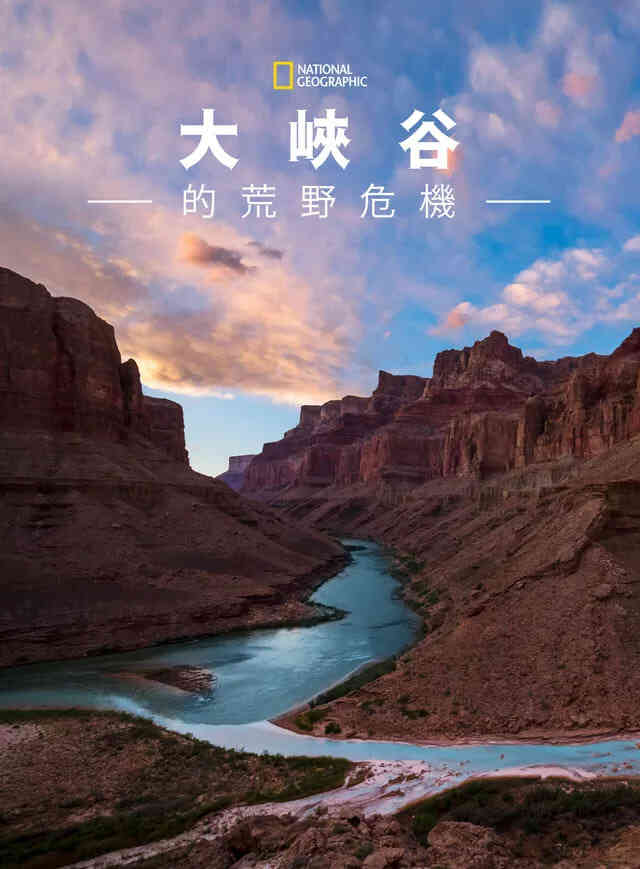 大峡谷的荒野危机