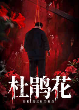 杜鹃花