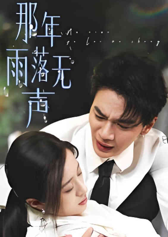 那年雨落无声