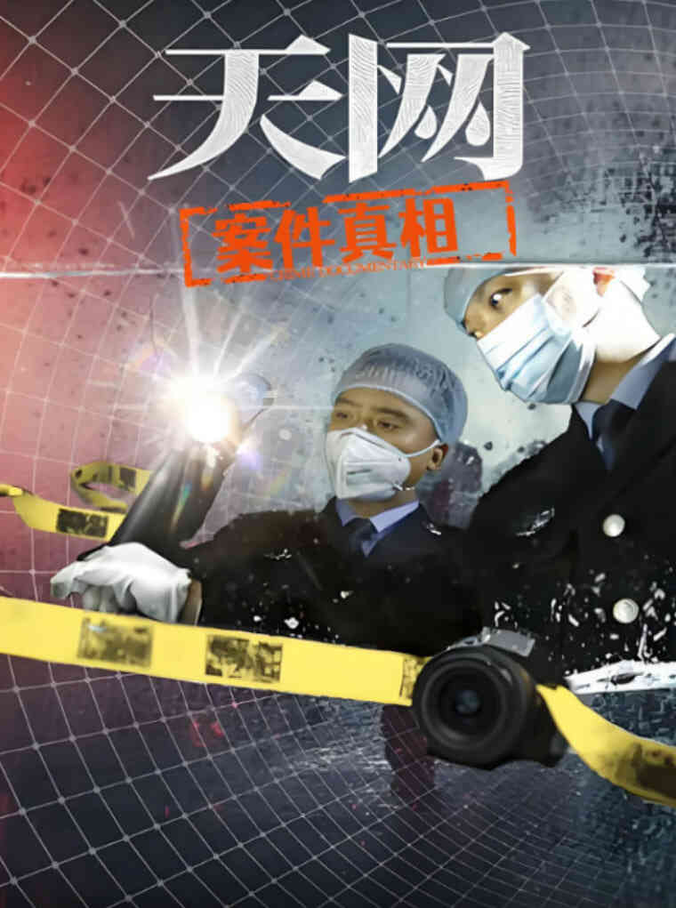 天网：案件真相