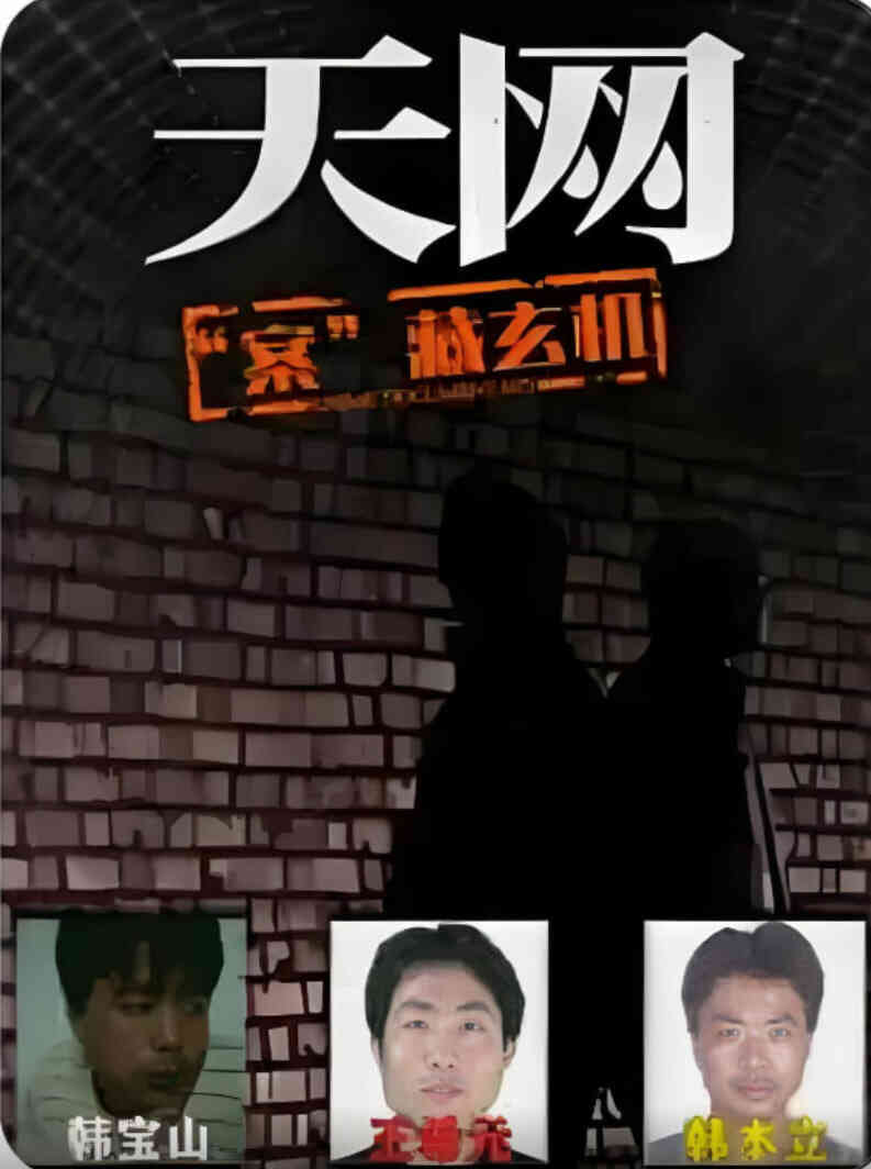 天网：“案”藏玄机