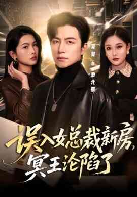 误入女总裁新房,冥王沦陷了