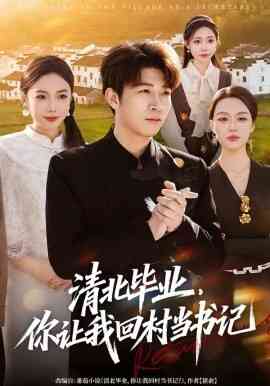清北毕业，你让我回村当书记