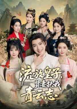流放皇子，贤妻扶我青云志