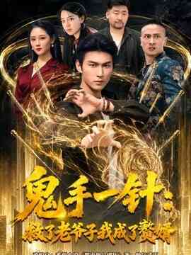 鬼手一针：救了老爷子我成了赘婿