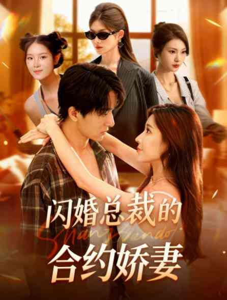 闪婚总裁契约妻