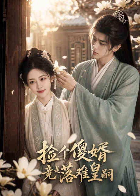 捡个傻婿竟是落难皇嗣